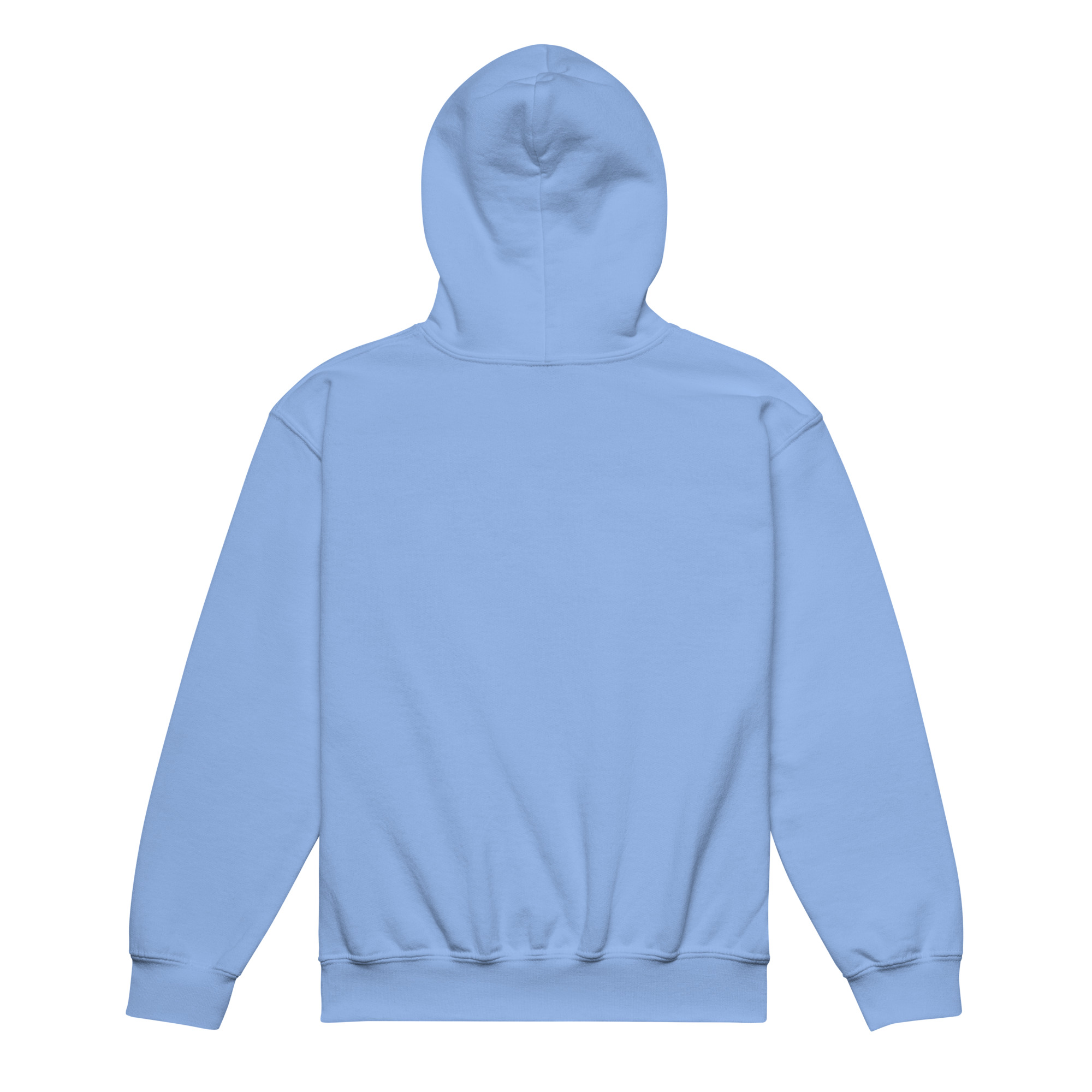 Data Error Youth heavy blend hoodie
