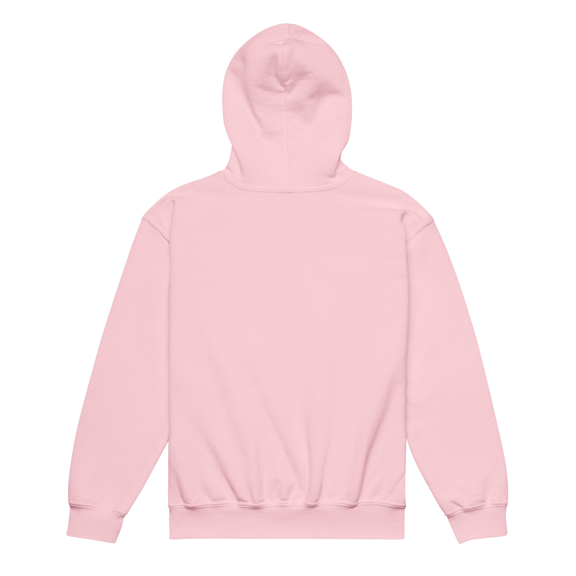 Data Error Youth heavy blend hoodie