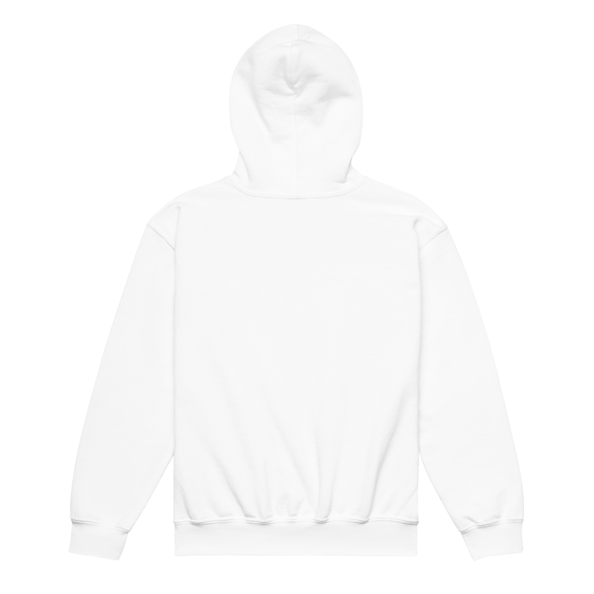 Data Error Youth heavy blend hoodie