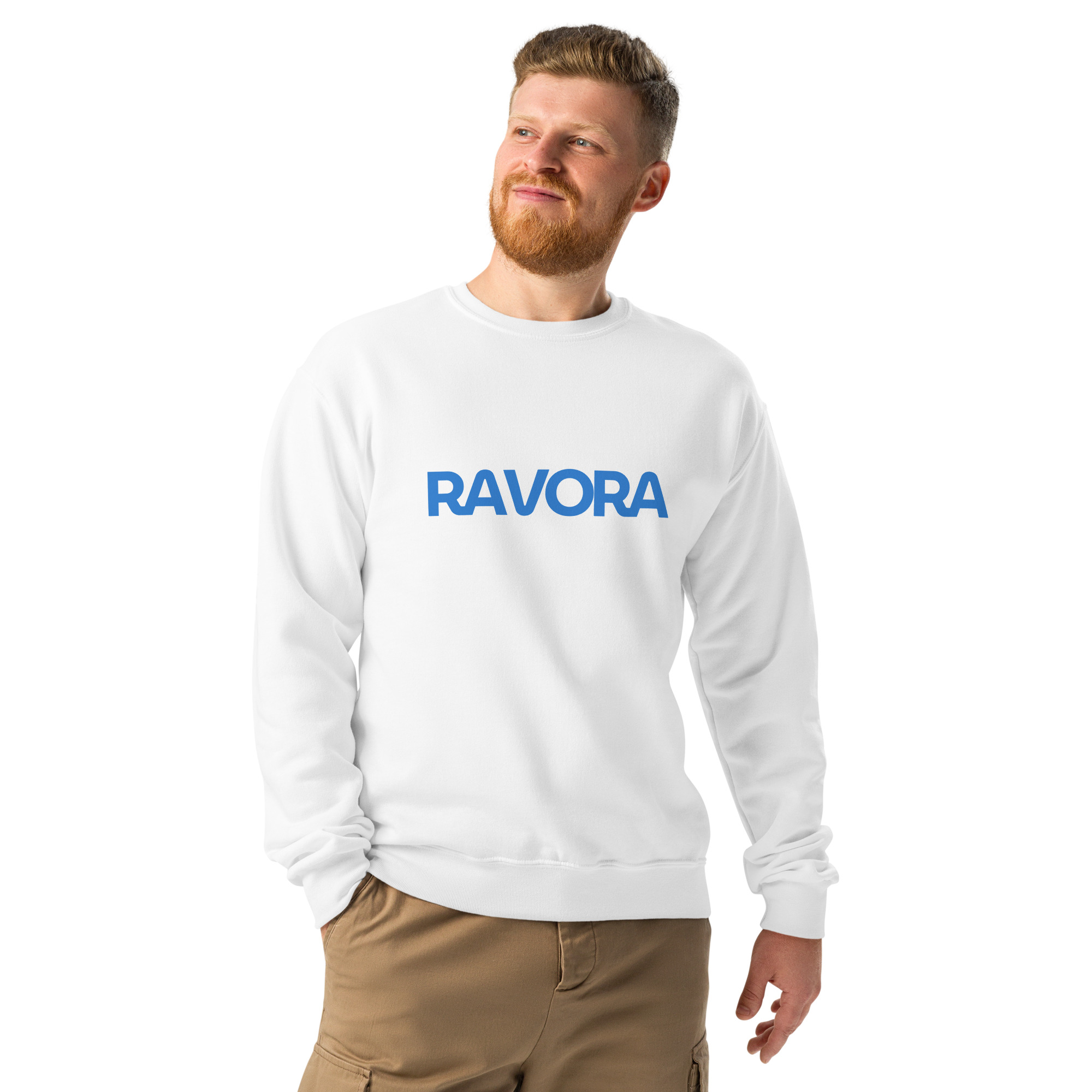 Male classic-collar pullover